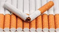 2000 cigarettes illégales et 7 pots de tabac à Shisha : perquisition dans une voiture à Sherbrooke